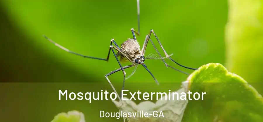 Mosquito Exterminator Douglasville-GA