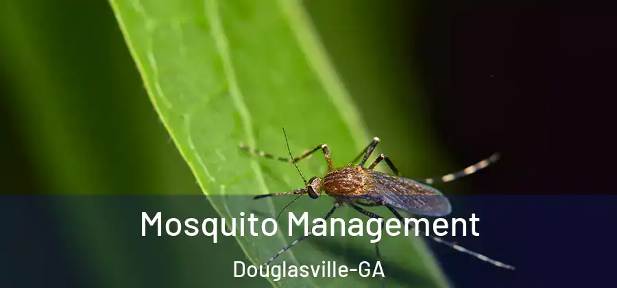 Mosquito Management Douglasville-GA