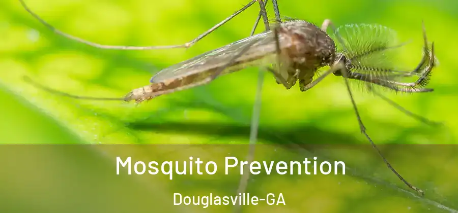 Mosquito Prevention Douglasville-GA