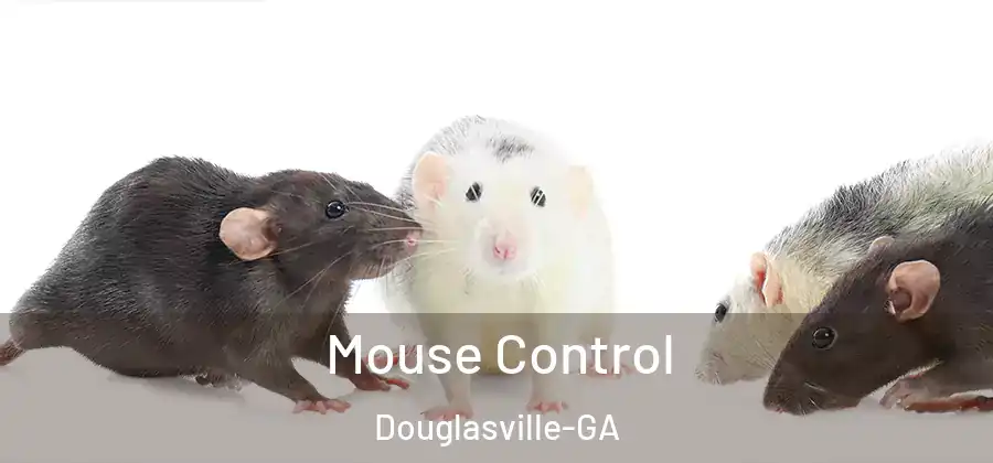  Mouse Control Douglasville-GA
