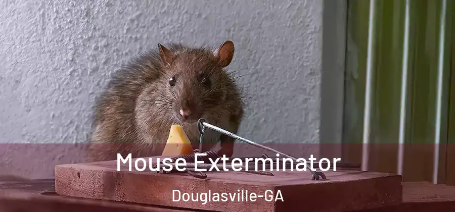 Mouse Exterminator Douglasville-GA
