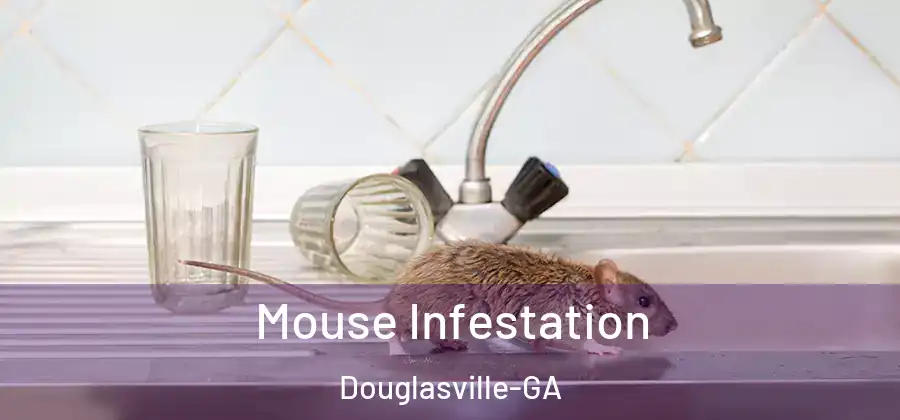 Mouse Infestation Douglasville-GA