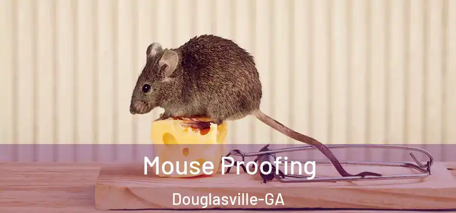 Mouse Proofing Douglasville-GA