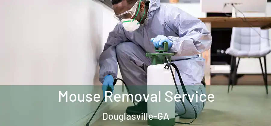 Mouse Removal Service Douglasville-GA
