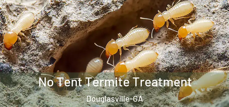  No Tent Termite Treatment Douglasville-GA