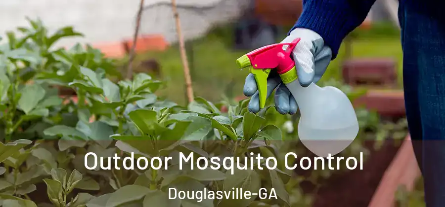  Outdoor Mosquito Control Douglasville-GA