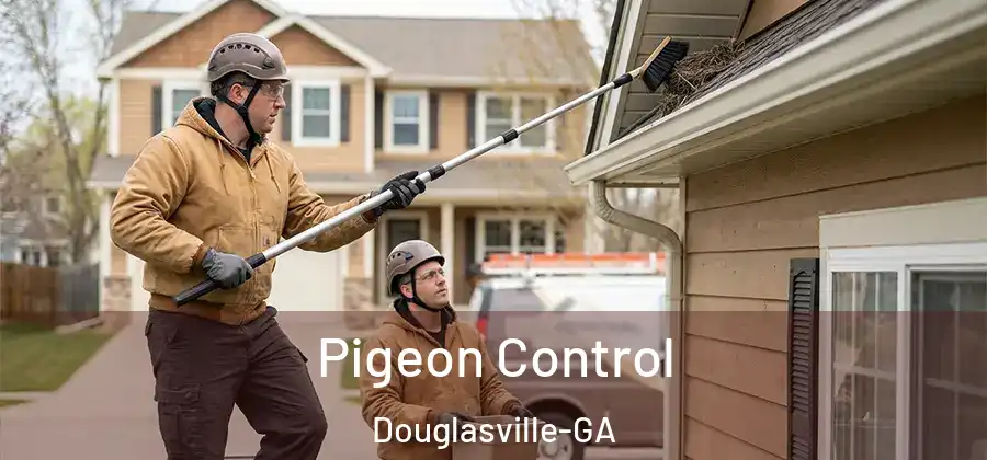 Pigeon Control Douglasville-GA