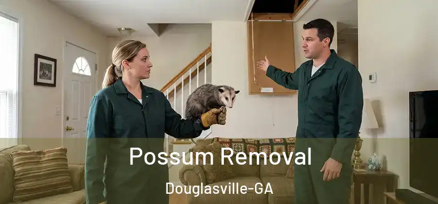 Possum Removal Douglasville-GA