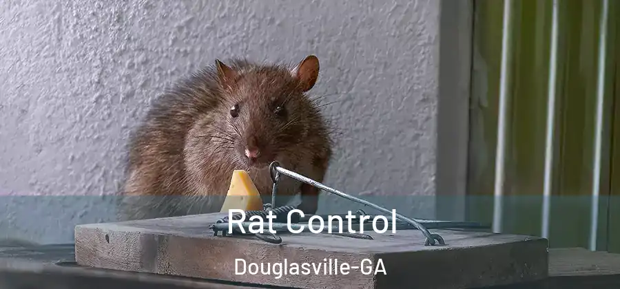 Rat Control Douglasville-GA