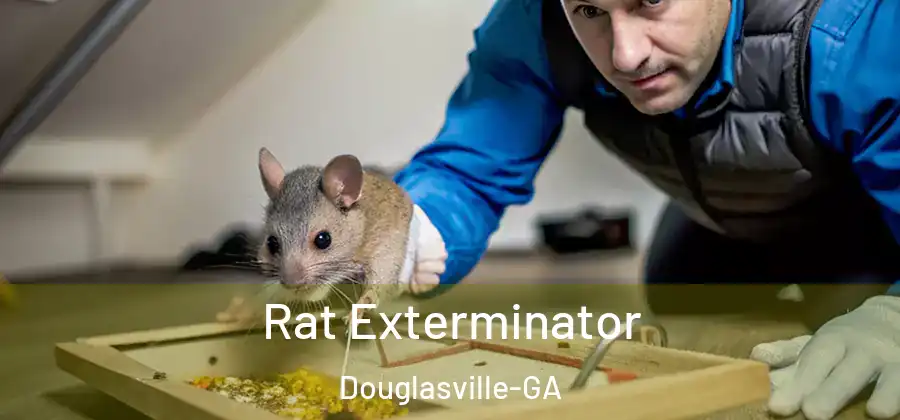 Rat Exterminator Douglasville-GA