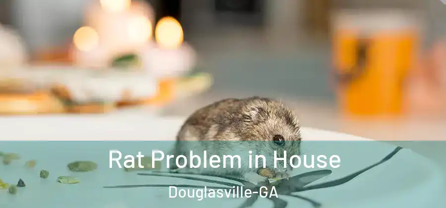  Rat Problem in House Douglasville-GA