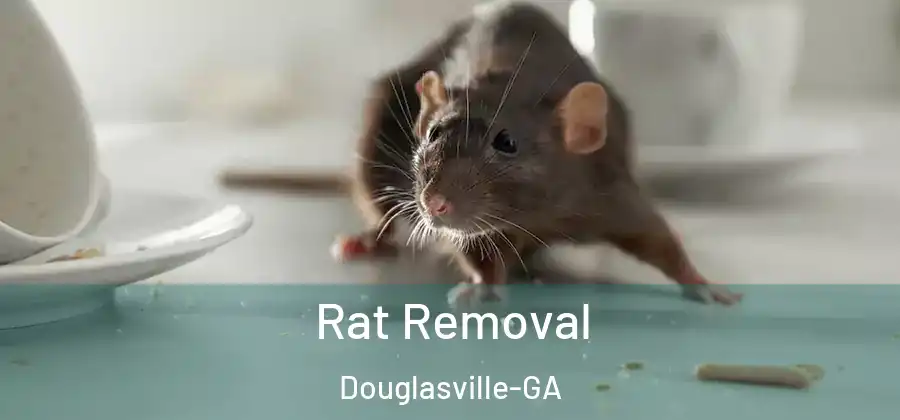  Rat Removal Douglasville-GA