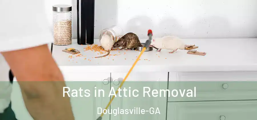Rats in Attic Removal Douglasville-GA