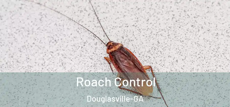  Roach Control Douglasville-GA