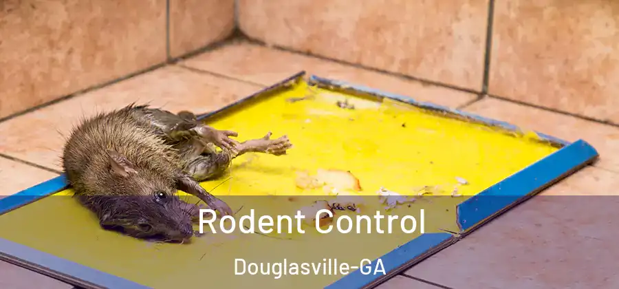 Rodent Control Douglasville-GA
