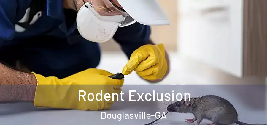 Rodent Exclusion Douglasville-GA