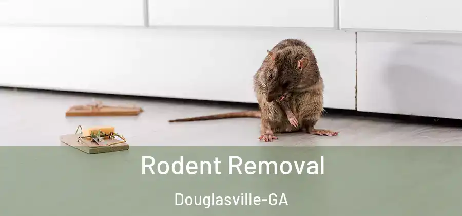 Rodent Removal Douglasville-GA