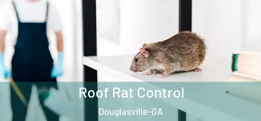 Roof Rat Control Douglasville-GA