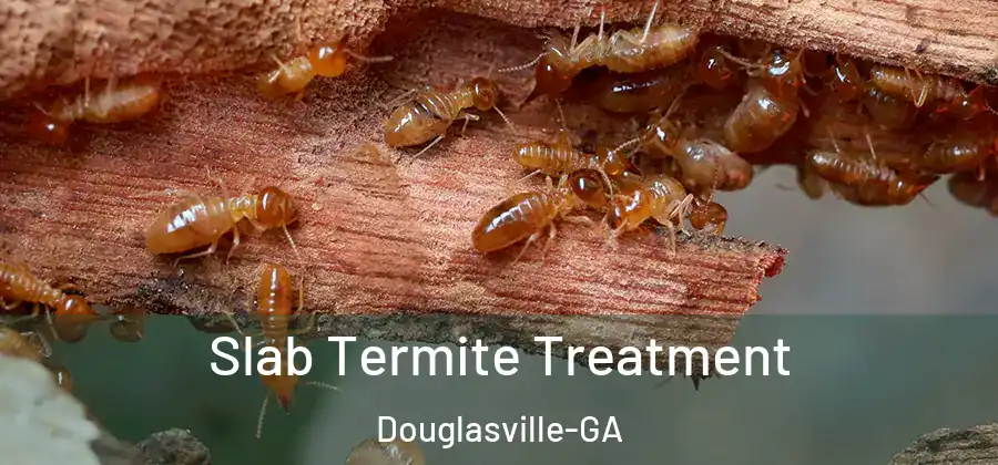 Slab Termite Treatment Douglasville-GA