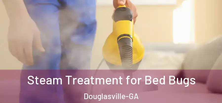 Steam Treatment for Bed Bugs Douglasville-GA