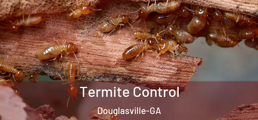  Termite Control Douglasville-GA