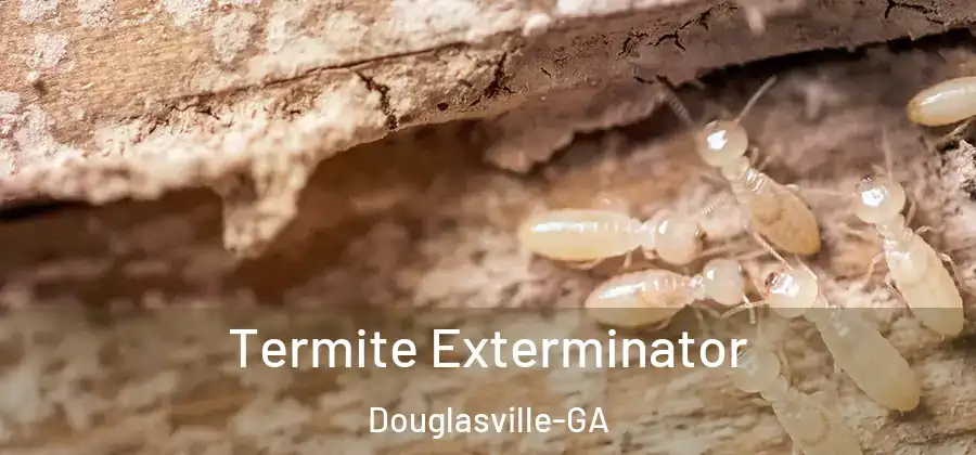 Termite Exterminator Douglasville-GA
