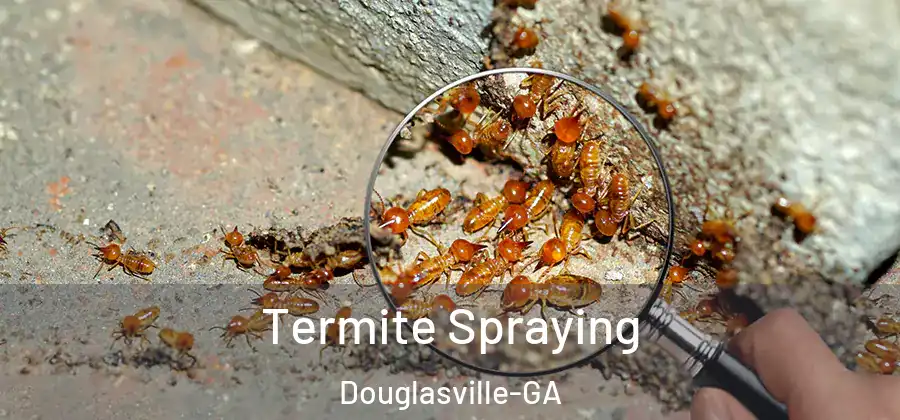 Termite Spraying Douglasville-GA