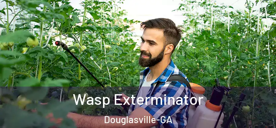  Wasp Exterminator Douglasville-GA