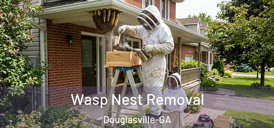 Wasp Nest Removal Douglasville-GA