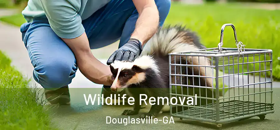  Wildlife Removal Douglasville-GA