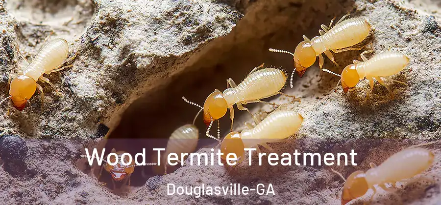 Wood Termite Treatment Douglasville-GA