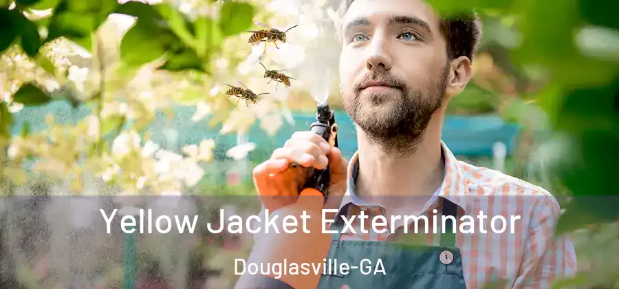 Yellow Jacket Exterminator Douglasville-GA