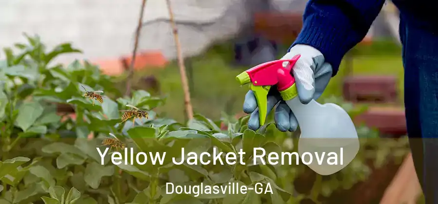 Yellow Jacket Removal Douglasville-GA